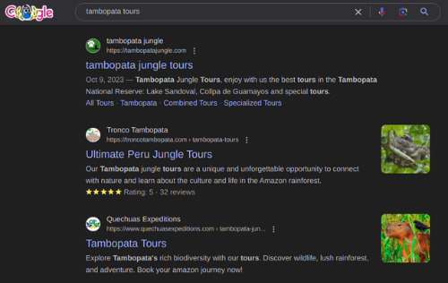 Tronco Tambopata SEO results